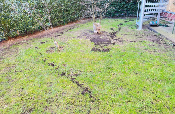 Beispielarbeit von ÖZKÖK DİENSTLEİSTUNGEN - veröffentlicht auf Gartenbau.org